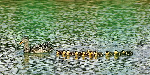 《暗黑破坏神4》XSX和RTX 4080画面对比